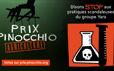 The “Pinocchio 2024 Prize” awarded to YARA and Nicolas Broutin